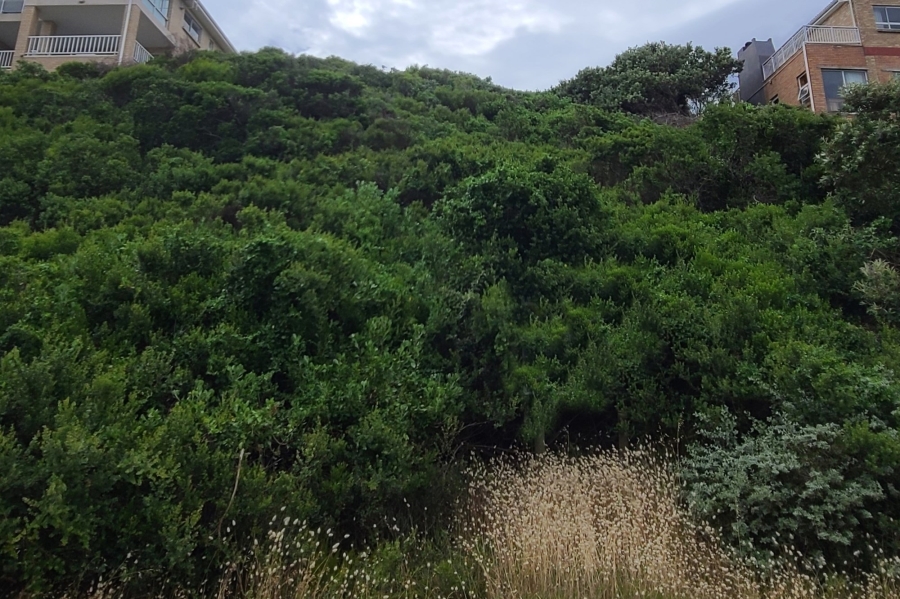 0 Bedroom Property for Sale in Paradise Beach Eastern Cape